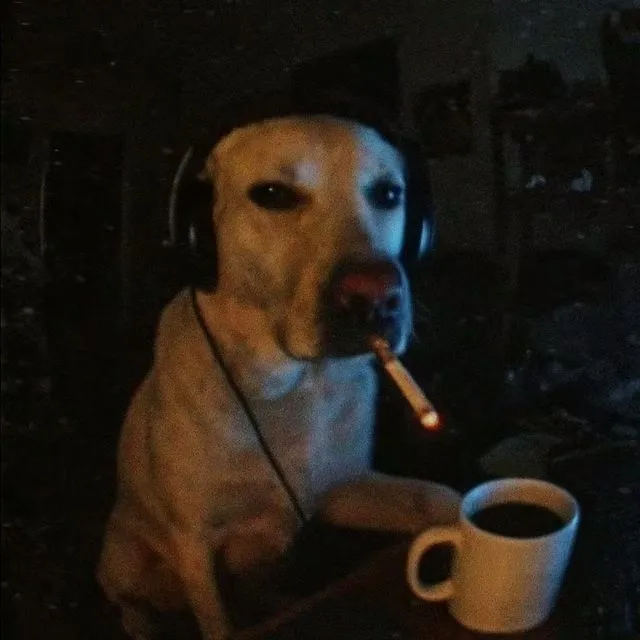 inkhavens profile picture